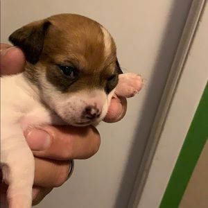 Meet your Posher, Christopher